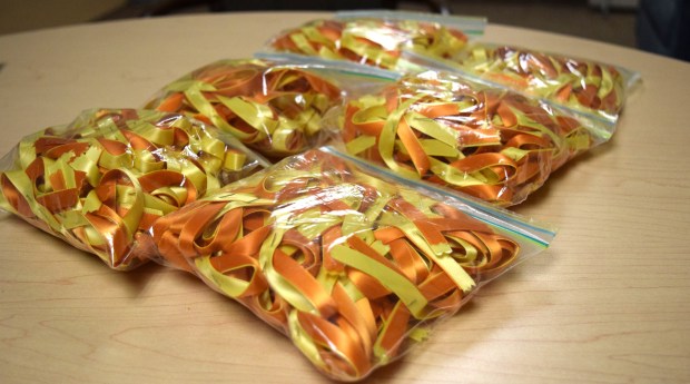 Mysterious Barricades (1)