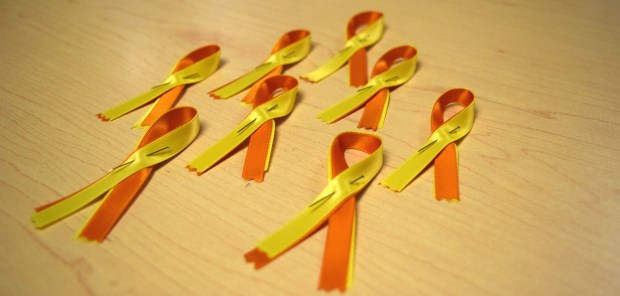 Mysterious Barricades (2)